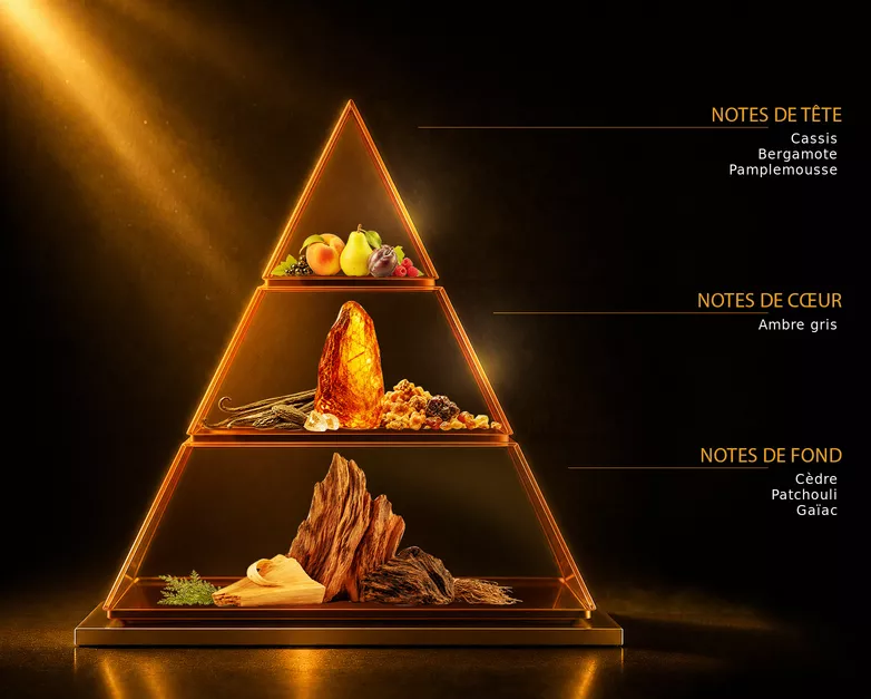 Pyramide olfactive du parfum AMBRE NUIT, avec ses notes de tête, de cœur et de fond