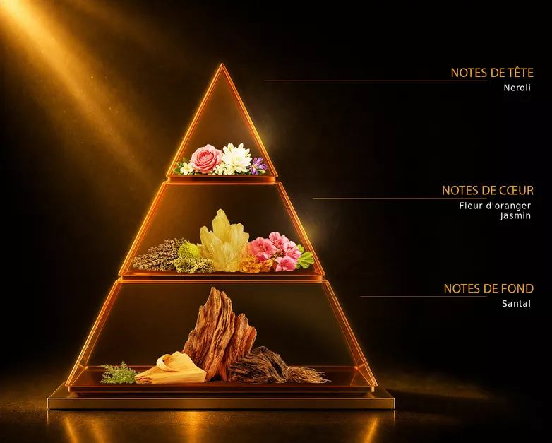 Pyramide olfactive du parfum EXTRÊME NOIR, avec ses notes de tête, de cœur et de fond