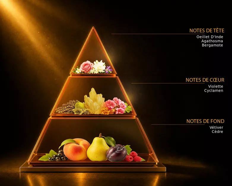 Pyramide olfactive du parfum AFRICAIN, avec ses notes de tête, de cœur et de fond