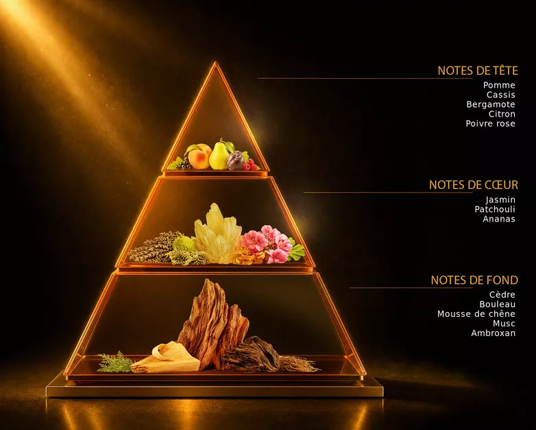 Pyramide olfactive du parfum Aventure, avec ses notes de tête, de cœur et de fond