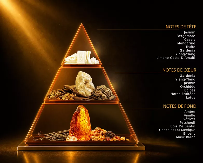 Pyramide olfactive du parfum BLACK, avec ses notes de tête, de cœur et de fond