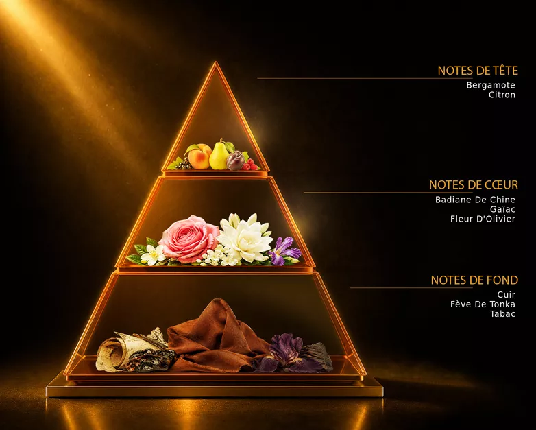Pyramide olfactive du parfum CODE, avec ses notes de tête, de cœur et de fond