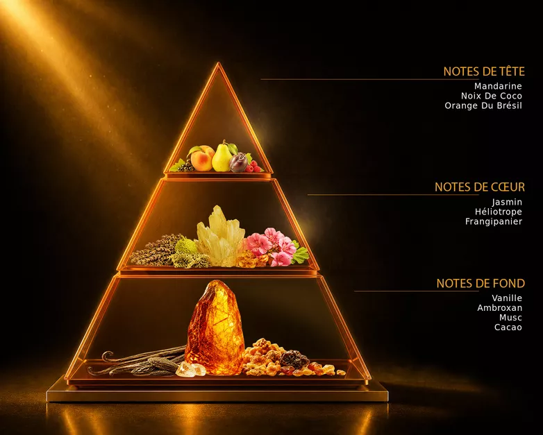 Pyramide olfactive du parfum CRÈME BRÜLÉE, avec ses notes de tête, de cœur et de fond