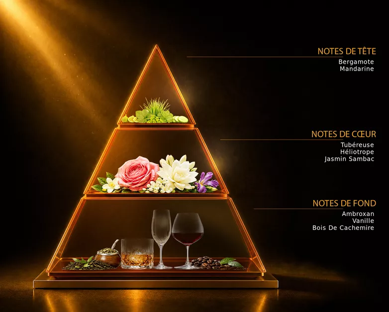Pyramide olfactive du parfum ELEXIR, avec ses notes de tête, de cœur et de fond
