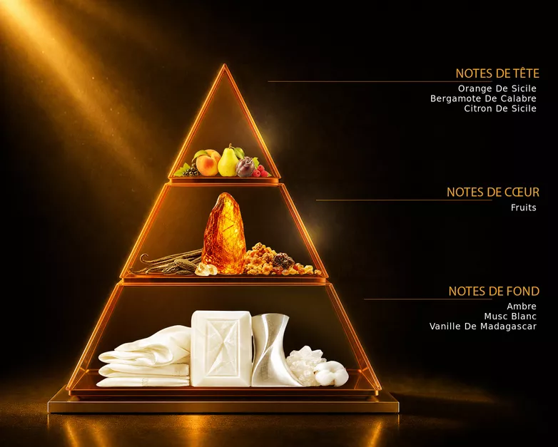 Pyramide olfactive du parfum Herba, avec ses notes de tête, de cœur et de fond