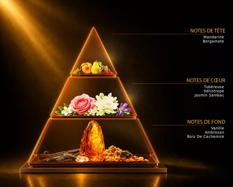 Pyramide olfactive du parfum MANIFESTO, avec ses notes de tête, de cœur et de fond