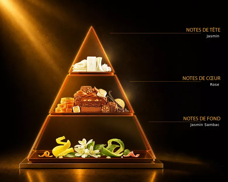 Pyramide olfactive du parfum EUPHORIA, avec ses notes de tête, de cœur et de fond