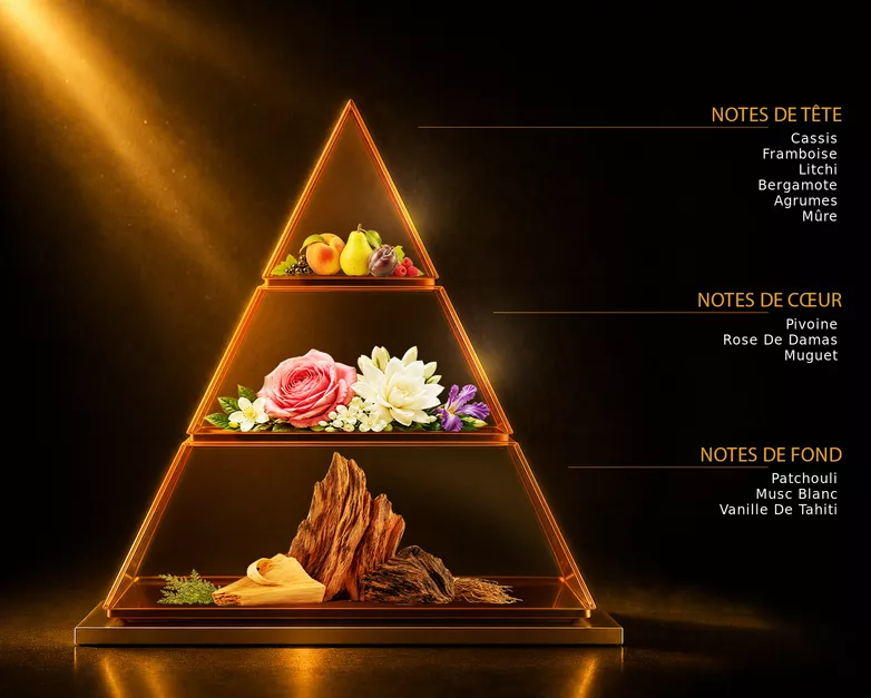 Pyramide olfactive du parfum LE TRÉSOR, avec ses notes de tête, de cœur et de fond