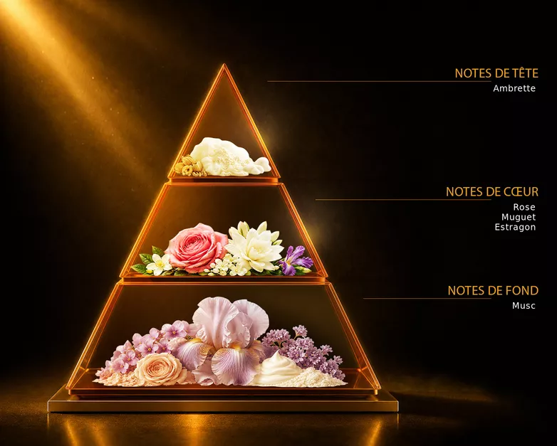 Pyramide olfactive du parfum Muse blanc, avec ses notes de tête, de cœur et de fond